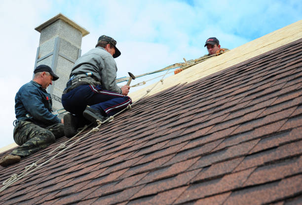 Best New Roof Installation  in Lake Jackson, TX